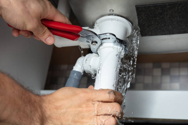 Best Local water damage restoration  in Gaston, SC