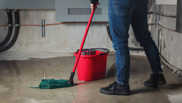 Best Basement water damage restoration  in Gaston, SC