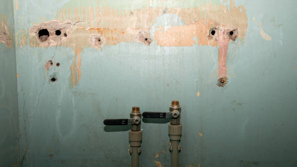 Best 24/7 water damage repair  in Gaston, SC