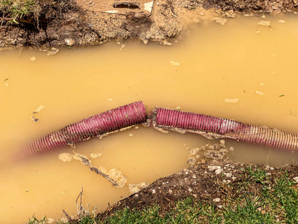 Water damage restoration process in Gaston, SC