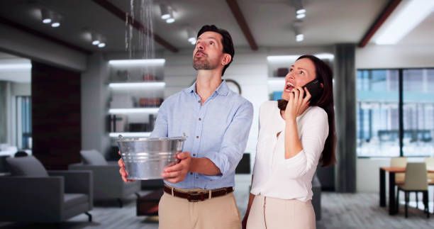 Best Carpet water damage restoration  in Gaston, SC