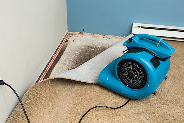 Best Emergency water damage restoration  in Gaston, SC